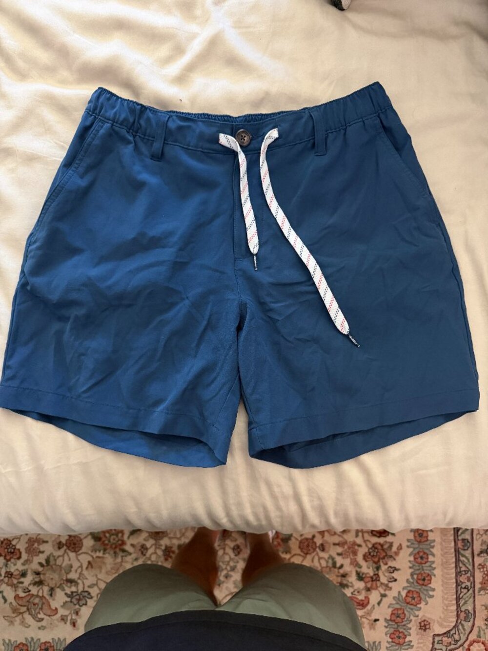 Chubbies Everywear Short Royal Blue Medium 6" Inseam